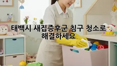태백시 새집증후군? 침구 청소로 해결하세요!